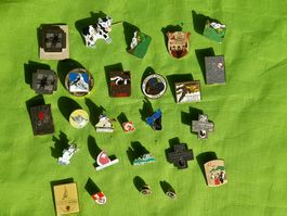 Lot Pin`s
